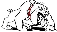 bulldog